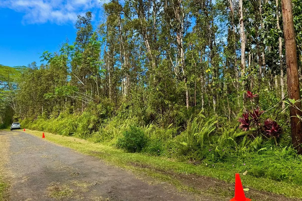 Pahoa, HI 96778,PLUMERIA RD