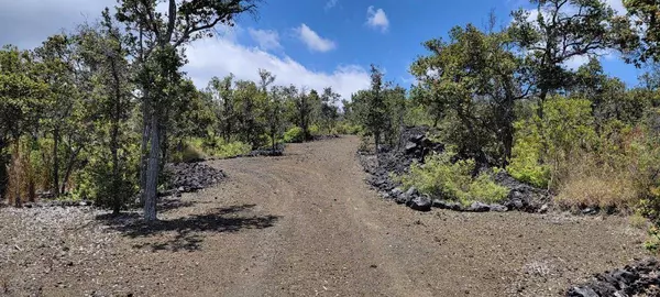 Ocean View, HI 96737,92-2123 HUKILAU DR