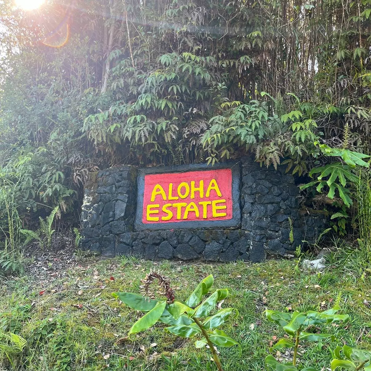 Volcano, HI 96785,ROAD 1