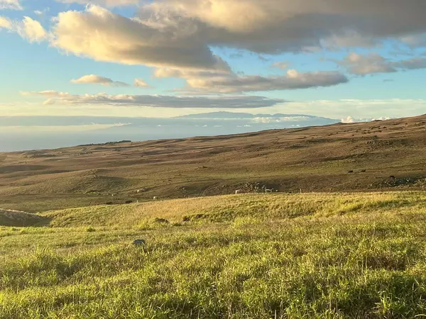 Kamuela, HI 96743,KOHALA RANCH ROAD