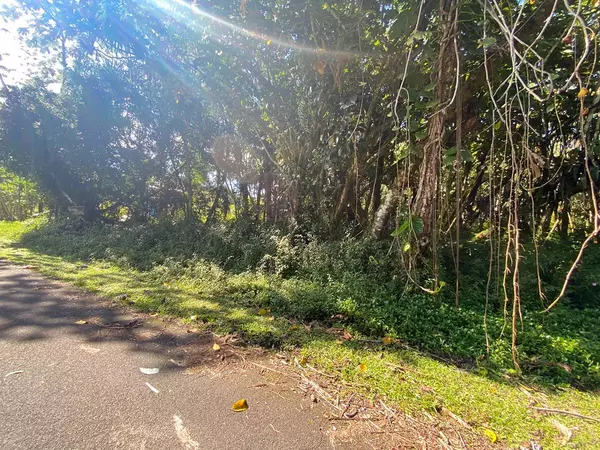 Pahoa, HI 96778,15-2730 NIUHI ST