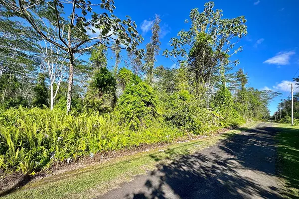 Pahoa, HI 96778,PUNA RD