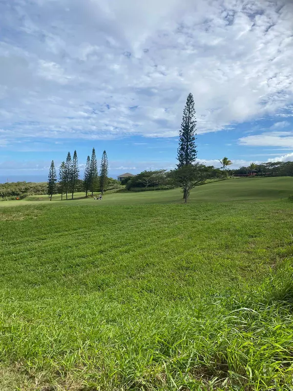 Naalehu, HI 96772,KAULUA CIR