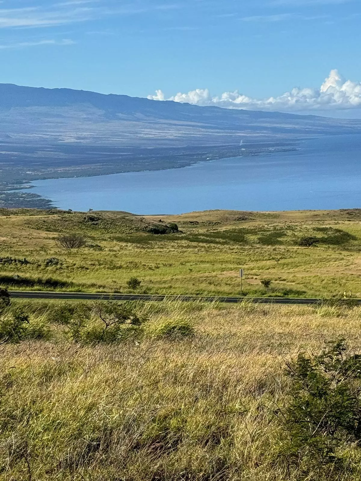 Kamuela, HI 96743,59-1411 KOHALA RANCH RD