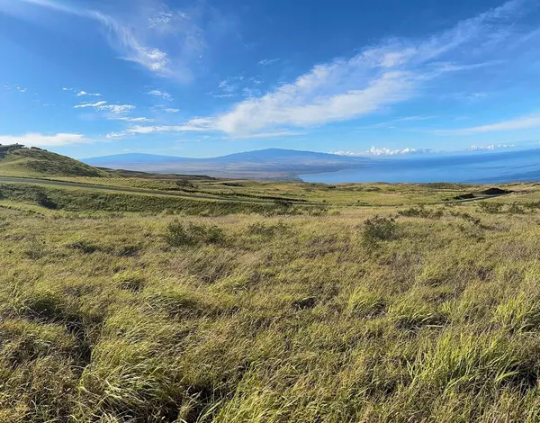 Kamuela, HI 96743,59-1411 KOHALA RANCH RD