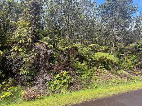 Volcano, HI 96785,ALA OHIA ST