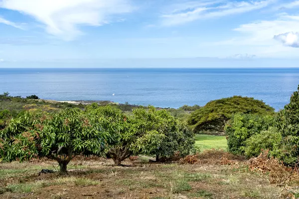 81-488 PALENA PL, Kealakekua, HI 96750