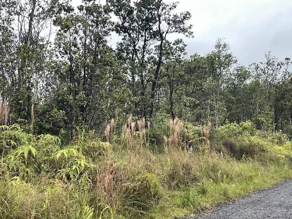 Volcano, HI 96785,11-2860 APUAKEHAU RD