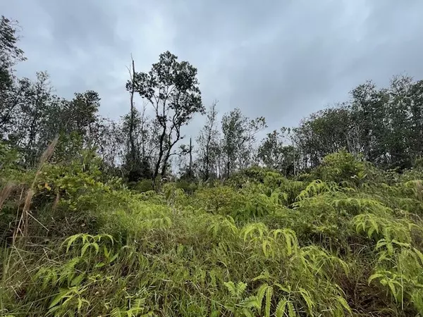 Volcano, HI 96785,11-2860 APUAKEHAU RD