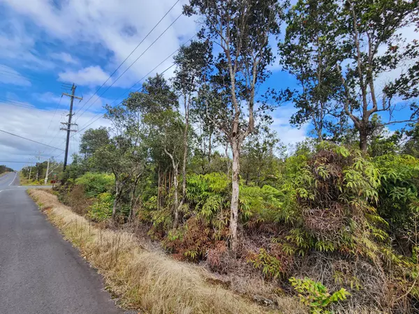 Volcano, HI 96785,VOLCANO RD