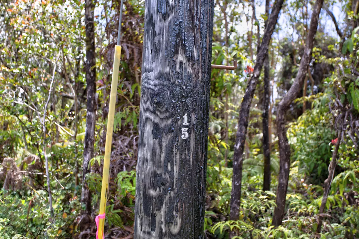 Volcano, HI 96785,ALII KANE ST