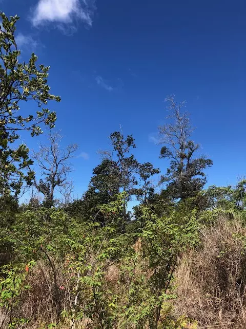 BAMBOO LN, Ocean View, HI 96737