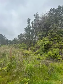 Volcano, HI 96785,PA ALII ST