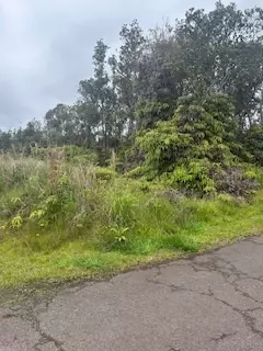 Volcano, HI 96785,PA ALII ST