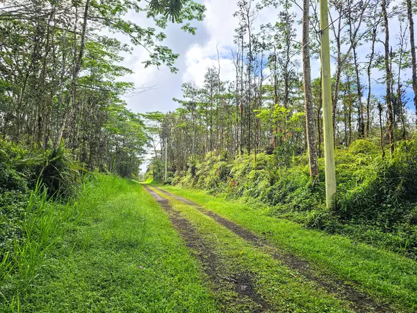 PIKAKE RD, Pahoa, HI 96778