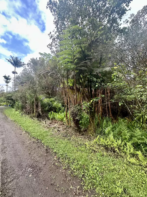 Volcano, HI 96785,18-2011 POMAIKAI ST