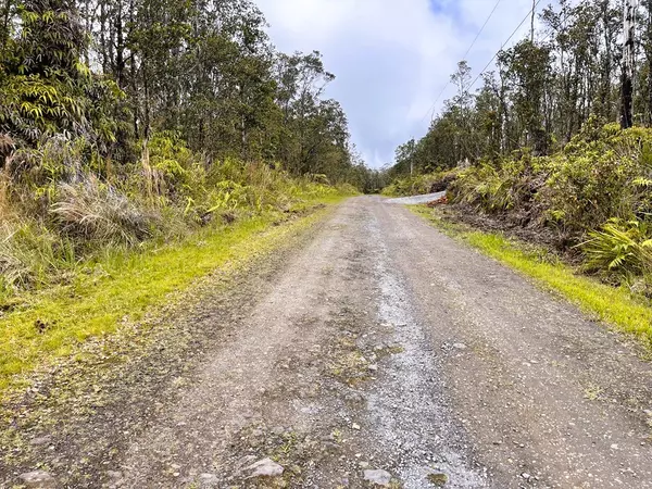 Volcano, HI 96785,11-2819 KAHAUALEA RD