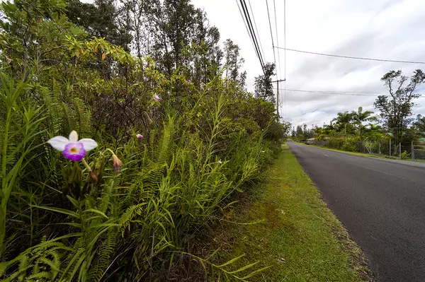 Pahoa, HI 96778,PARADISE DR