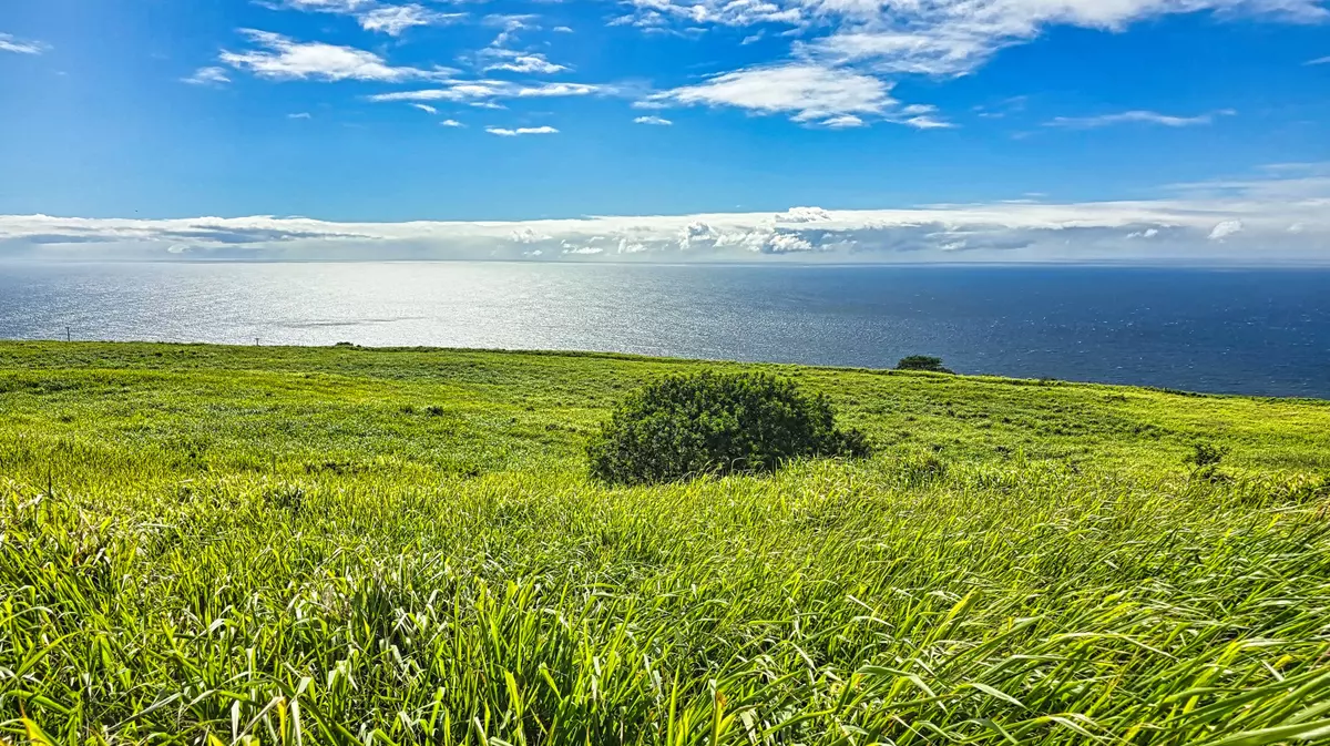 Naalehu, HI 96772