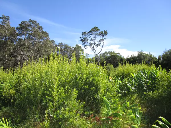 PUKEAWE CIR, Hawaiian Natl Park, HI 96718