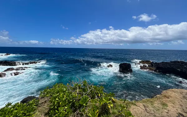 Pahoa, HI 96778,OPAKAPAKA ST