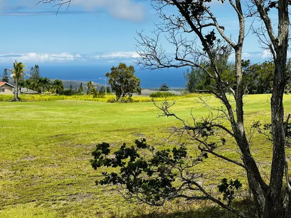 94-5777 AWA PAE LOOP, Naalehu, HI 96772