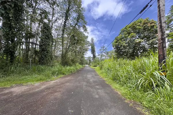 Pahoa, HI 96778,MAYZEE RD