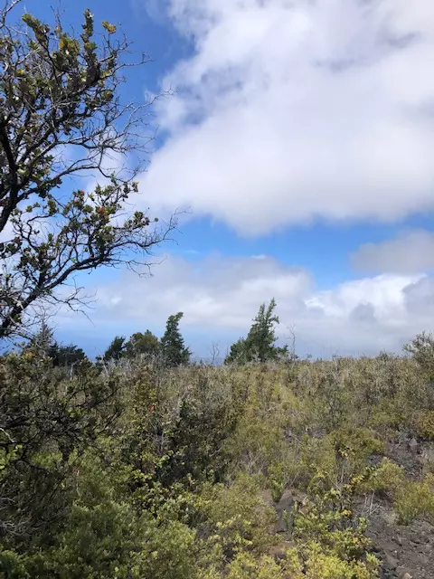 PLUMERIA LN, Ocean View, HI 96737