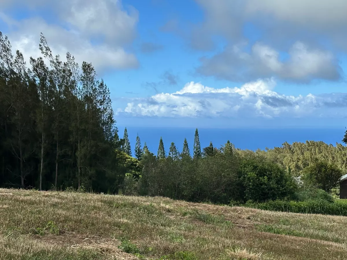 Hawi, HI 96719,KAMALEI PL