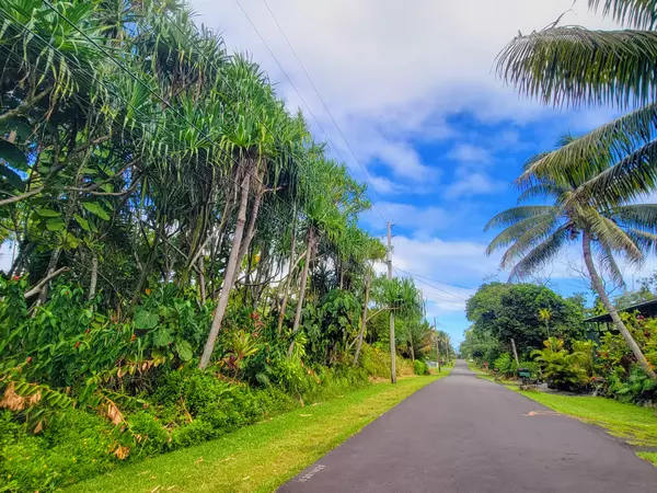 Pahoa, HI 96778,PAPAI ST