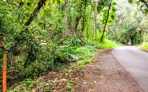 Pahoa, HI 96778,GOVERNMENT BEACH RD