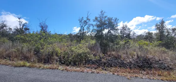 BAMBOO LN, Ocean View, HI 96737