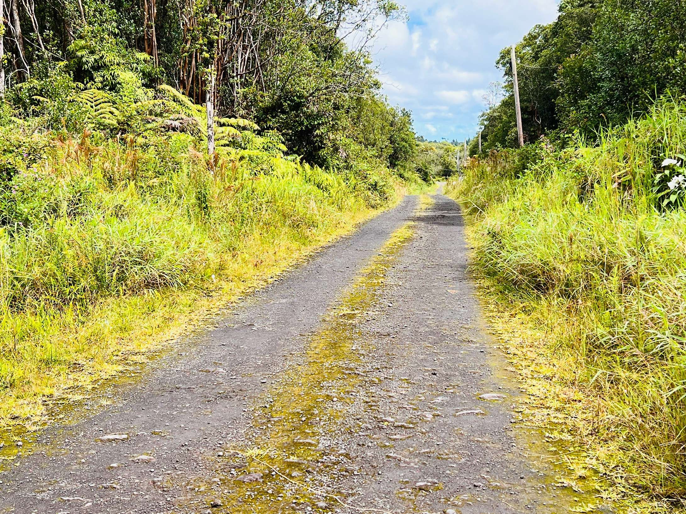 Volcano, HI 96785,18-2302 KAKAHIAKA UHANE ST