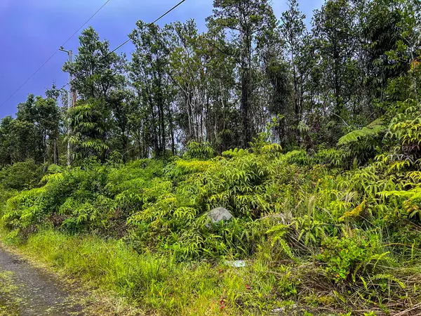 Volcano, HI 96785,11-2693 LELEHUNA RD