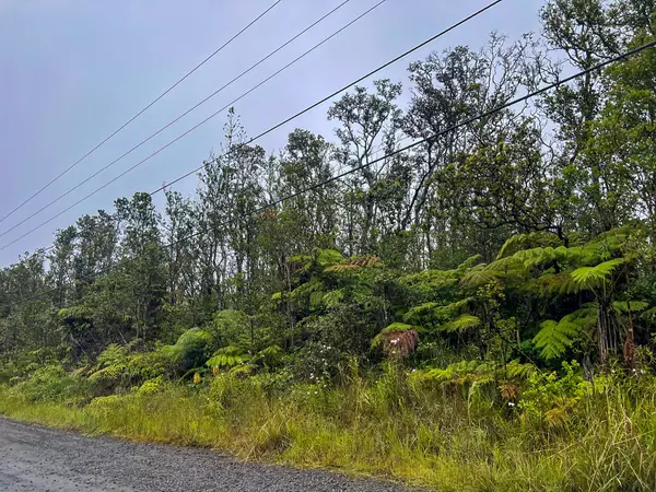 Volcano, HI 96785,11-2862 KALEPONI DR