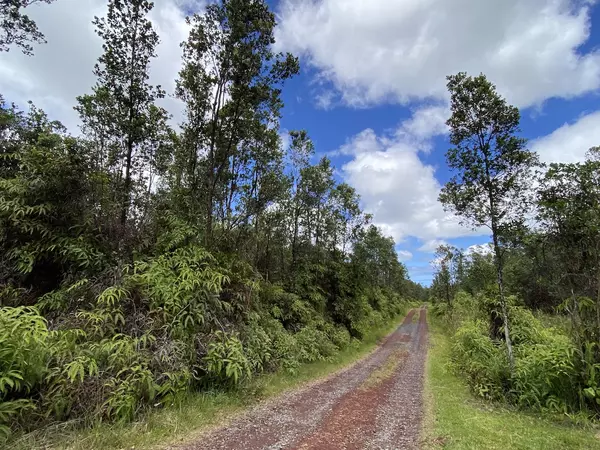 Mountain View, HI 96771,WAIMAKA O PELE RD