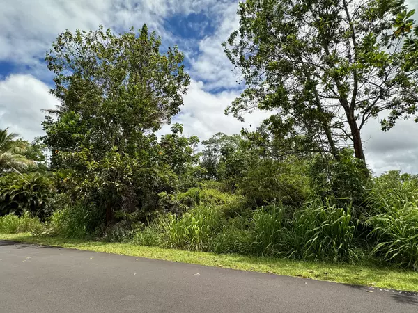 Pahoa, HI 96778,LAI ST