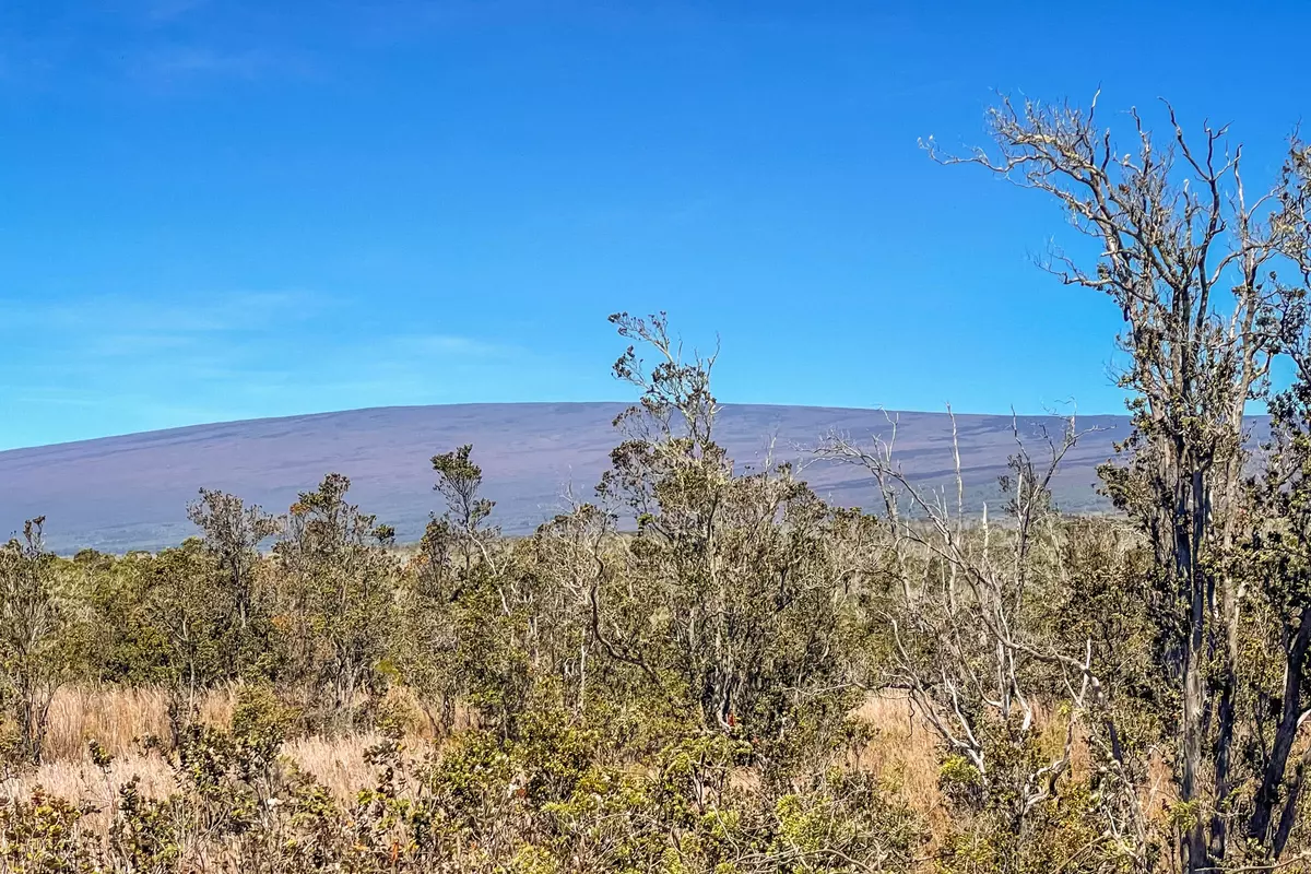 Hawaiian Natl Park, HI 96718,99-7813 KANAIO PL