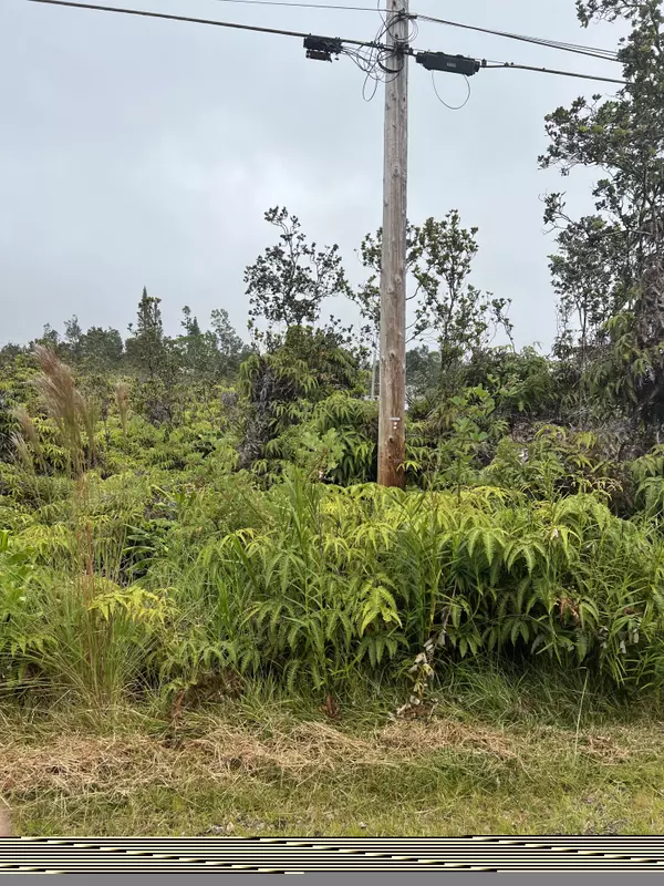 Volcano, HI 96785,PA ALII ST