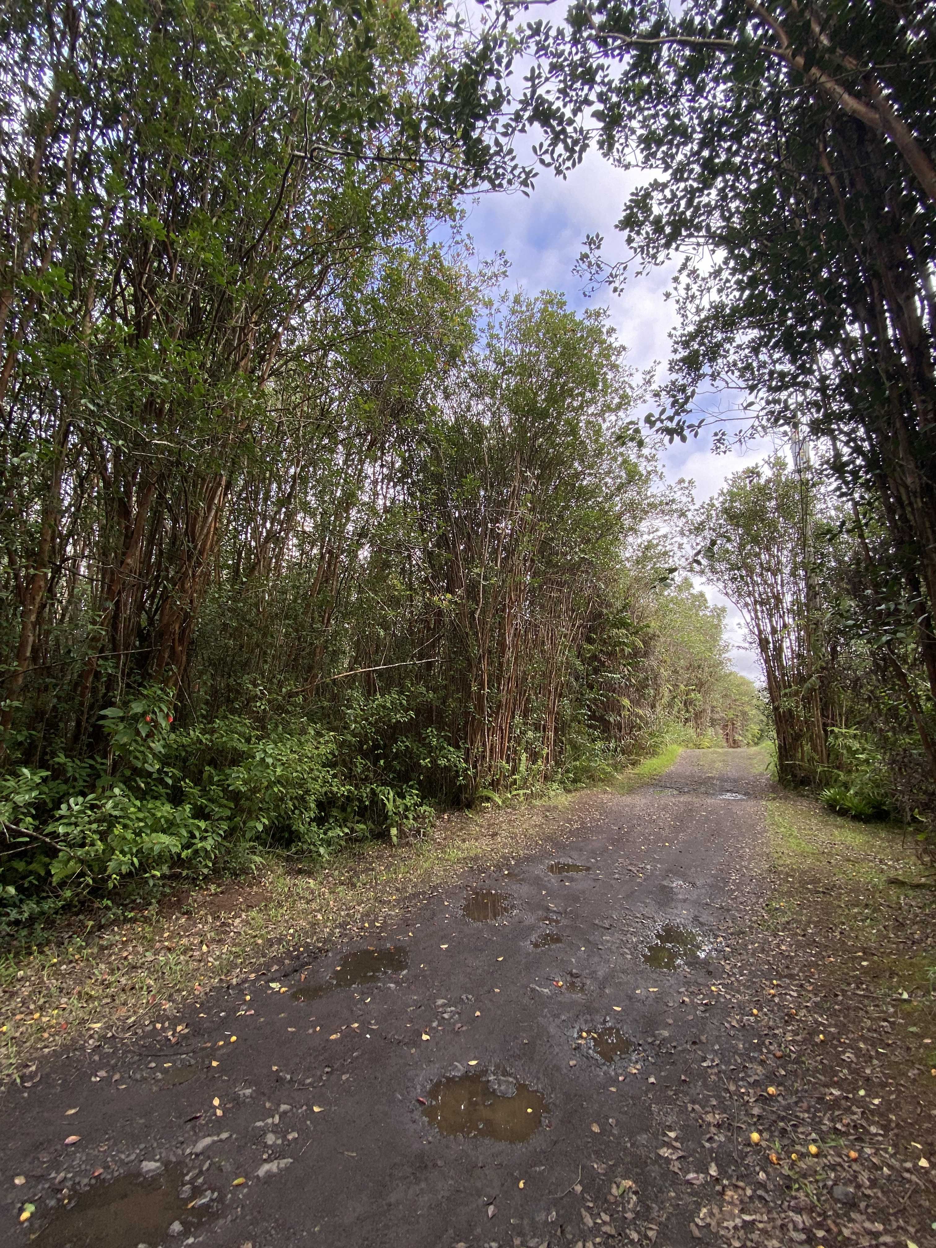 ROAD 5 (UAU), Mountain View, HI 96760