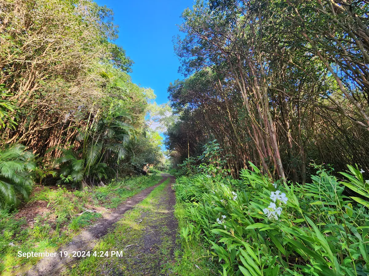 Pahoa, HI 96778,12-556 MOLOKAI ST