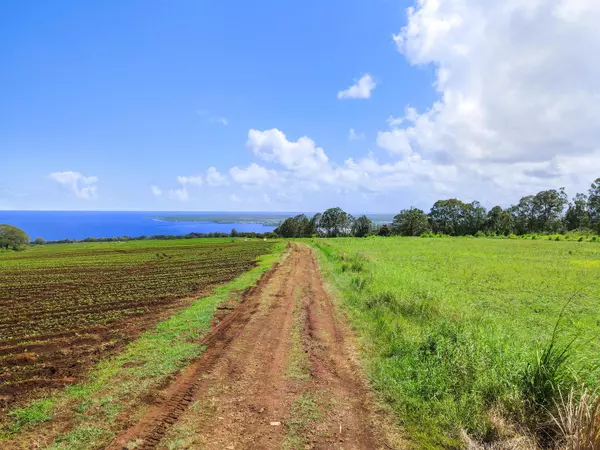 Hilo, HI 96720,6 KAIWIKI ROAD