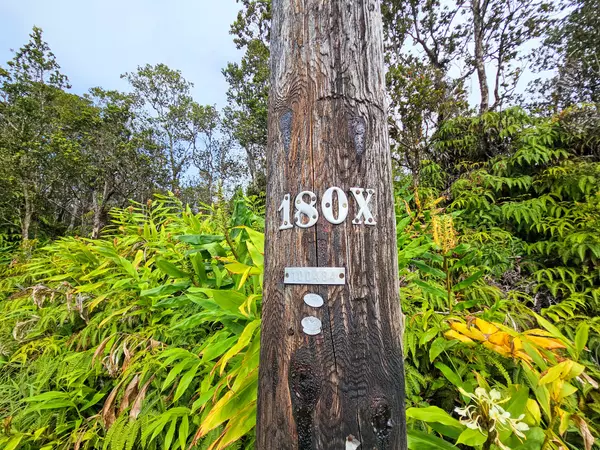 Volcano, HI 96785,VOLCANO RD