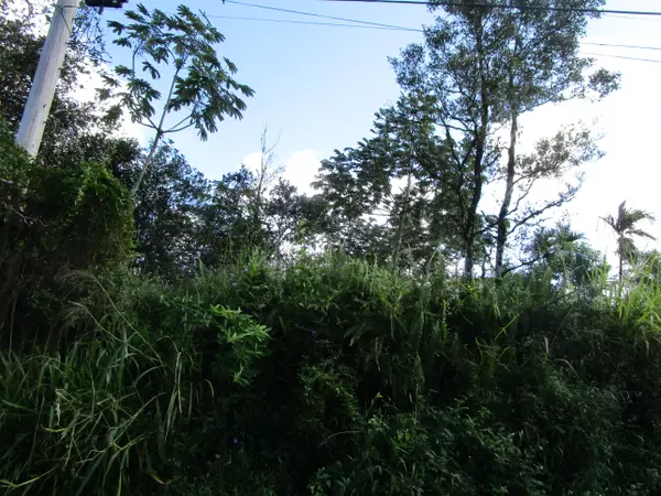 SILVERSWORD CT, Pahoa, HI 96778