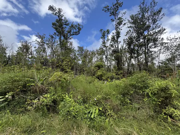 Volcano, HI 96785,KOKOKAHI RD