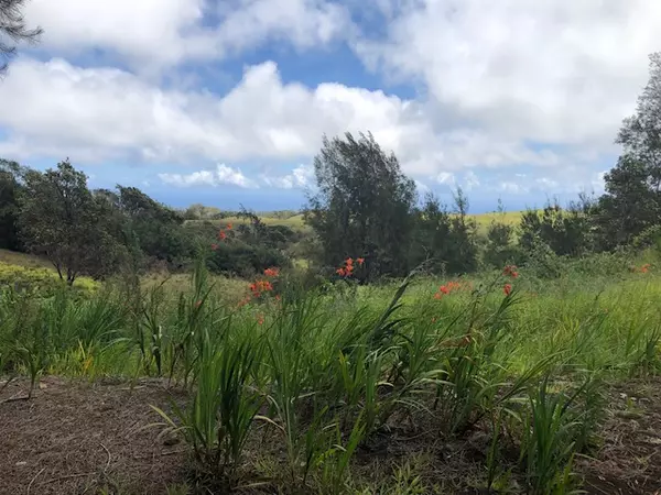 Honokaa, HI 96727,46-3871 KAHANA DR