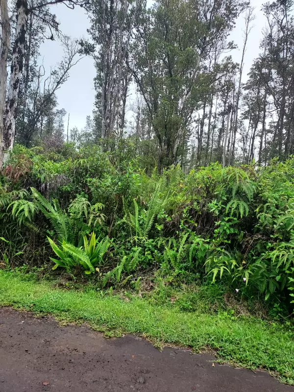 Mountain View, HI 96760,ROAD 9 (KOLOA MAOLI)