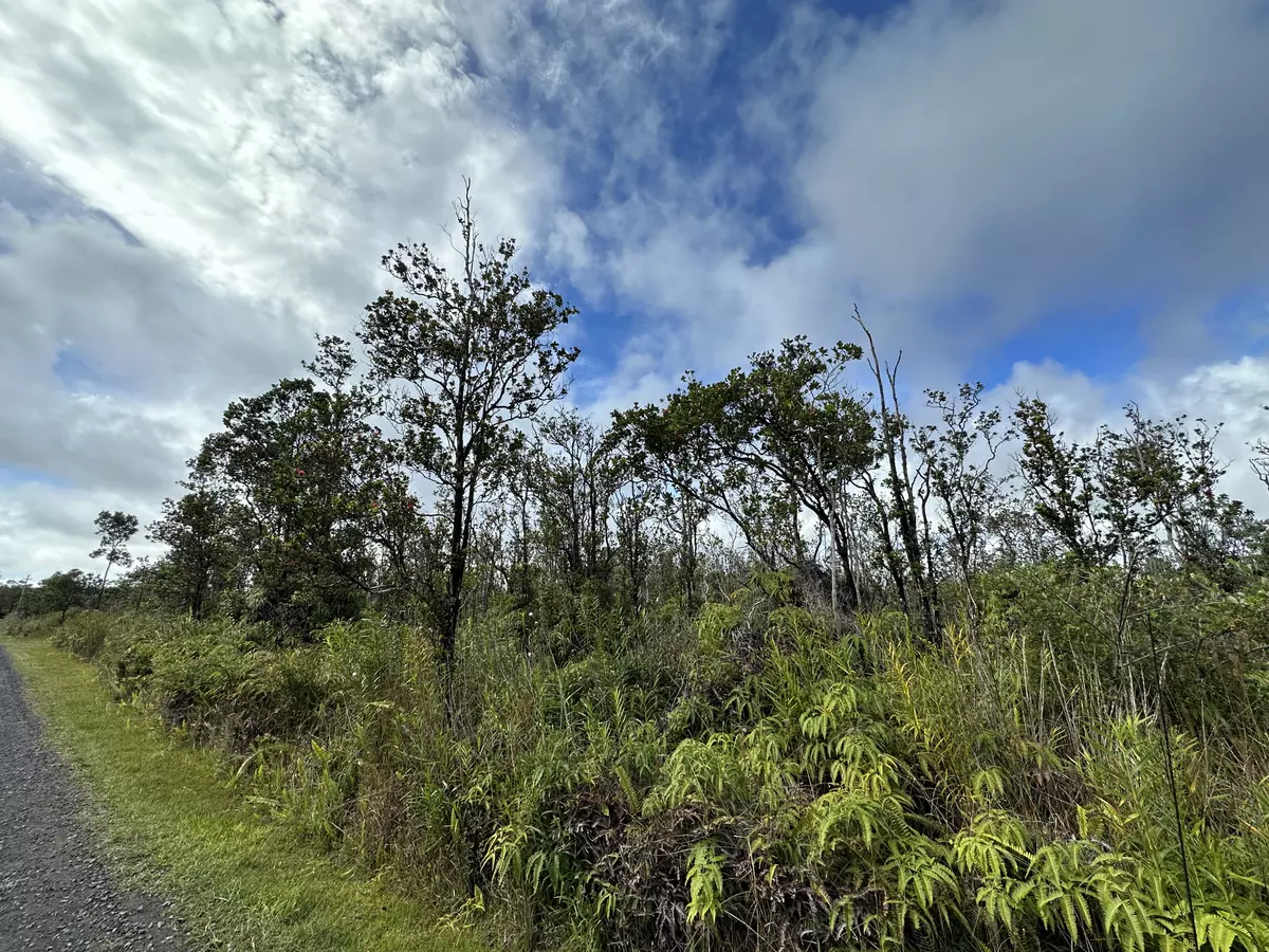 Volcano, HI 96785,11-2738 OHIALANI RD