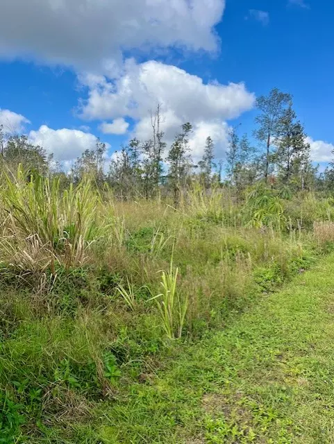 Pahoa, HI 96778,16-2110 EMERALD DR