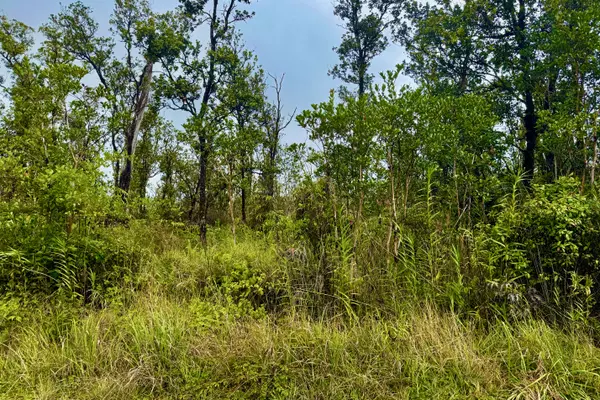 Volcano, HI 96785,KOKOKAHI RD